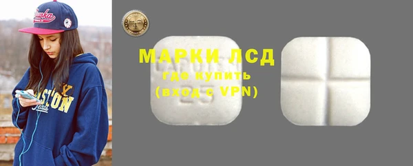 молекула духа Арсеньев