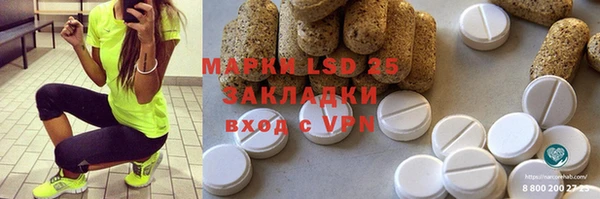 mdpv Богородицк