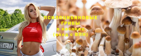 меф VHQ Богданович