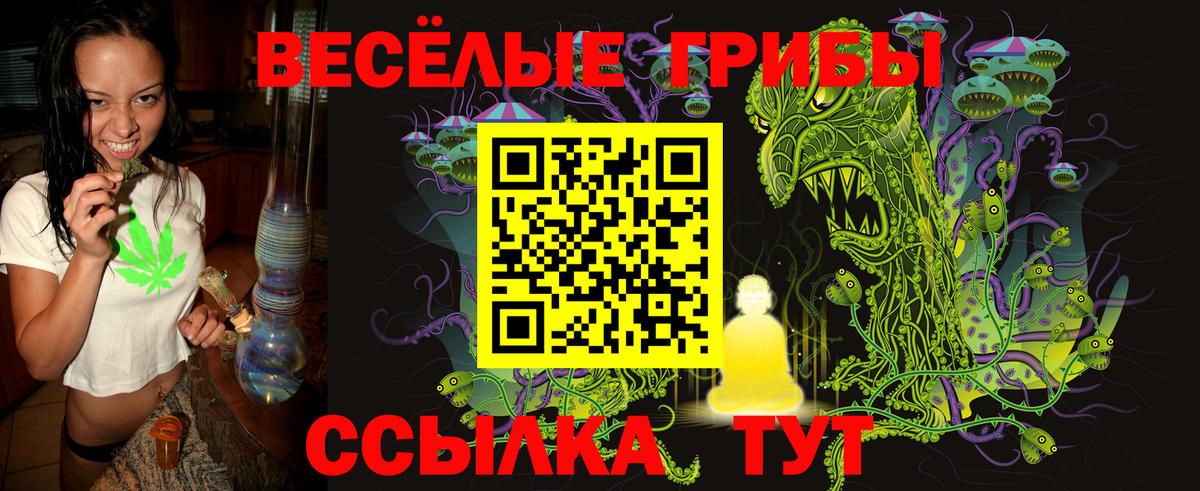 Галлюциногенные грибы Psilocybe Зима