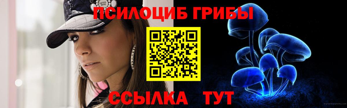 Зима  Псилоцибиновые грибы ЛСД  Галлюциногенные грибы мухоморы  купить наркотик  Вход с VPN 